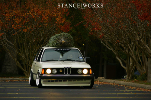 homohermonculous:  wow, got camber?