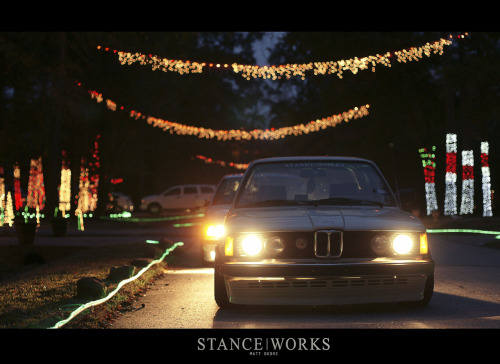 homohermonculous:  wow, got camber?