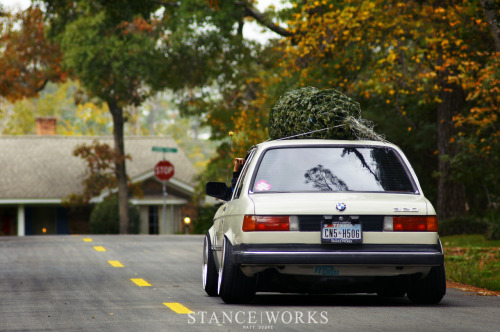 homohermonculous:  wow, got camber?