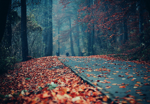 xenium:  vanish into small (by ewitsoe) 