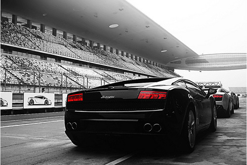 automotivated:  Lamborghini Gallardo Line-up (by This will do) 