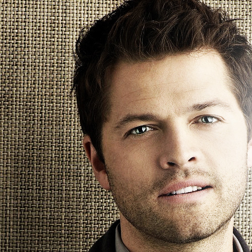ascending-through-the-galaxy: posteriorbombardier: myterrortwinandi: Misha Collins woah there friend