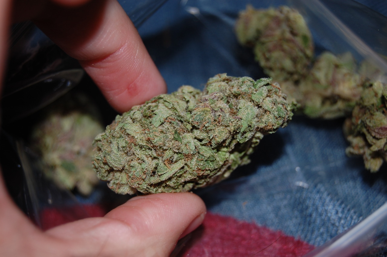 westcoaststoner420:  ~