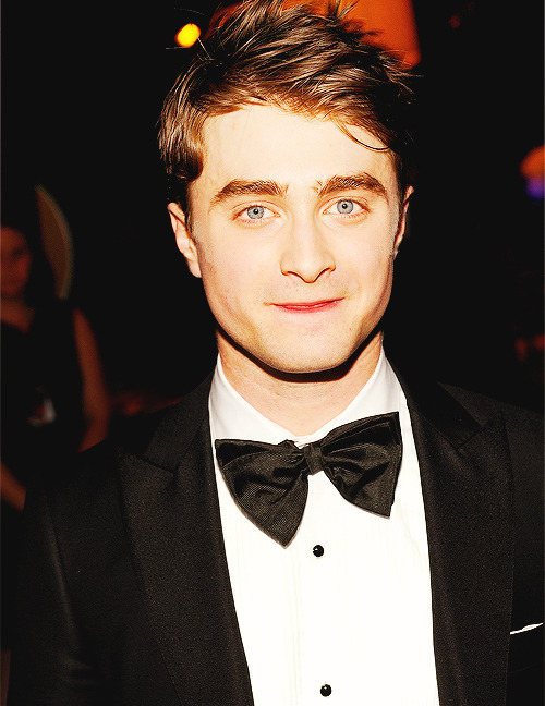 Harry Potter Eterno