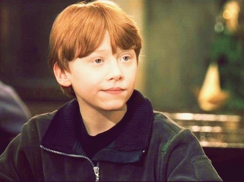 Harry Potter Eterno