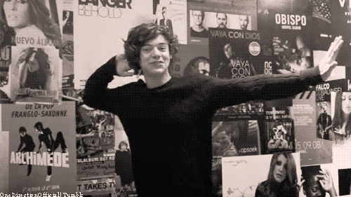 School for Directioners!