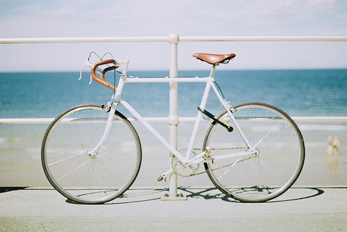 archenland: Seaside Cycling (by Tabsinthe)