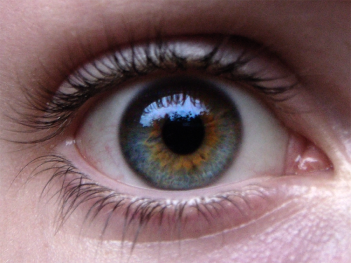onlyme-nothingspecial: playgr0und-eyes: awdray: Central heterochromiais where the central (pupillary