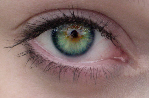 writeroost:  funwithmedicine:  Central heterochromia is where the central (pupillary) zone of the iris is a darker color than the mid-peripheral (ciliary) zone.  Ayyyyy these are my eyes 