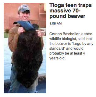 The headline. The picture. The… position.
The first sentence…
““Bryan Lockman saw a tail waffling above the water and knew he had a beaver.””