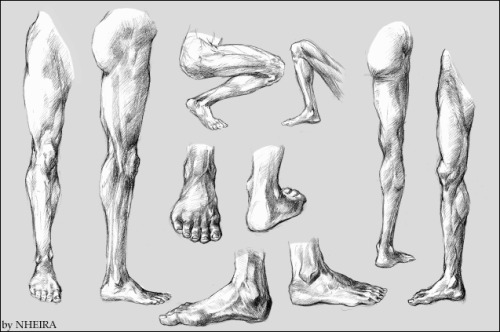 anatomicalart: Artist: nheiraLinks:Image 1Image 2Image 3Image 4 Medium: Digital 