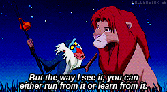Rafiki: the true hero of the Lion King.