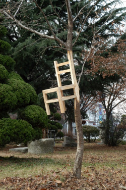 una silla-arbol o un arbol-silla? o un arbol que se convertira en una silla o una silla que crece como arbol?