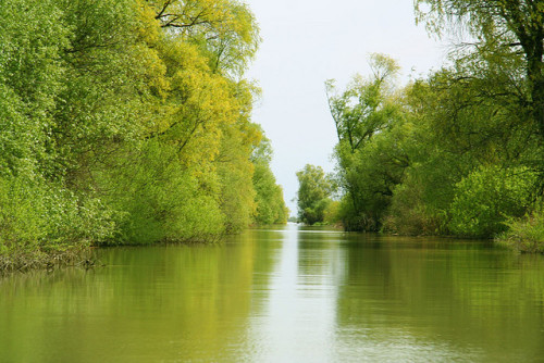 by teocf on Flickr.Danube Delta - the second largest in Europe, a biosphere reserve and a World  Her