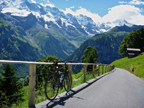 findadventure:  Path between Murren and Gimmelwald 