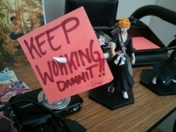 Because Ichigo said so!