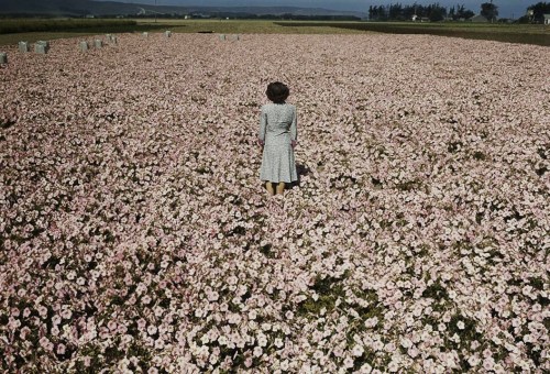 A woman standing in a field of flowers. porn pictures
