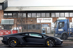 automotivated:  Angular. (by Alex Penfold)