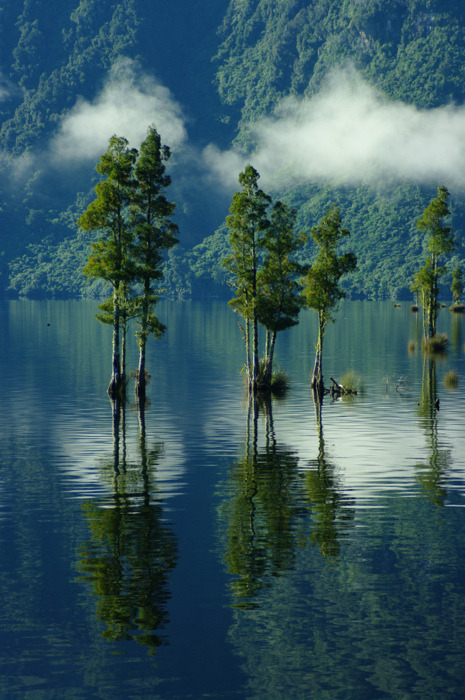 bluepueblo:  Mitchells Lake, Brunner, West Coast New Zealand photo by rinathompsonphotography