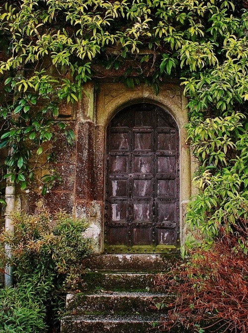 bluepueblo:   The Secret Door, Lanhydrock, Great Britain Photo by TheGingerPixie.