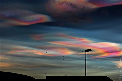 sixohthree:  More nacreous clouds from this morning (by FotoLind)