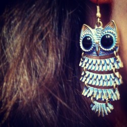 3rdcommand:  Owls! (Taken with instagram)