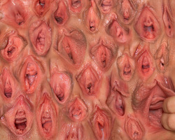 lizzy-the-lezzy:  #vagina THAT SHIT CRAY….