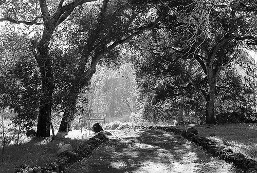 grayshadows:  Flickr / whitepaint  
