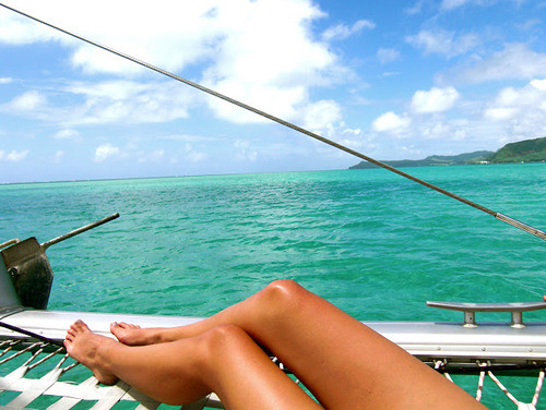 Tropical Blog