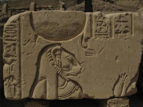 dwellerinthelibrary:A lioness goddess at the temple of Montu at el Tod.