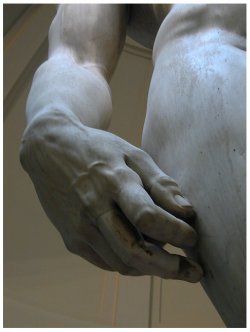 finethankyouandyou:  David’s hand. Michelangelo (created between 1501 and 1504). Marble.  