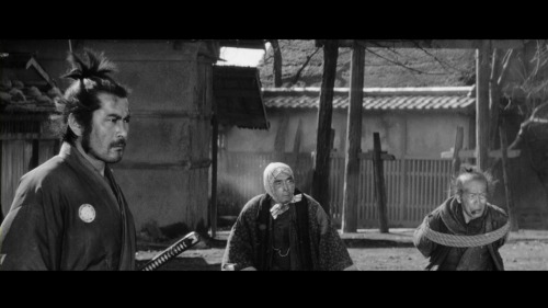 Sanjuro (1962)Akira Kurosawa