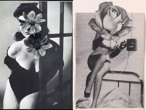 thingscanhope - [Collage by Linder Sterling, dates unknown] 