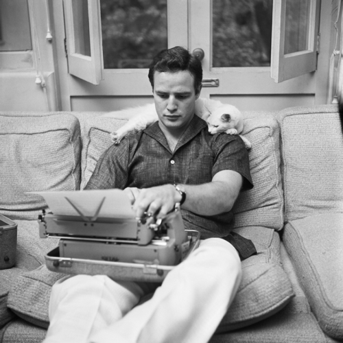 xiii-v-mcmxl:  Marlon Brando and his cat Marcus, a gift from Elizabeth Taylor.