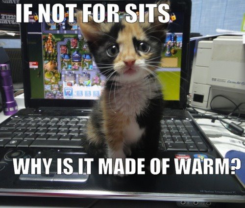 funny-pictures-uk:  Have posted before. Will post again! 