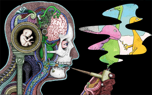 kaleidedope:   “Fed up with all that LSD. Need more sleep than coke or methamphetamines. Late