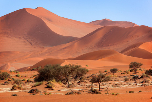 by hiro008 on Flickr.Red sand dunes in Sossusvlei, Namib Desert, Namib-Naukluft National Park, Namib