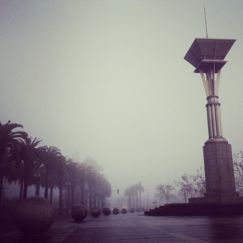 Foggy (Taken with instagram)