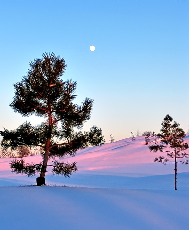 pyrrhic-victoria:  Entre chien et loup by Imapix 