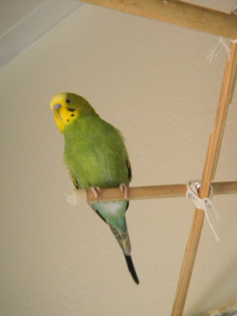 fat-birds:  optimistoverload:  Just reminiscing.  eee :) 