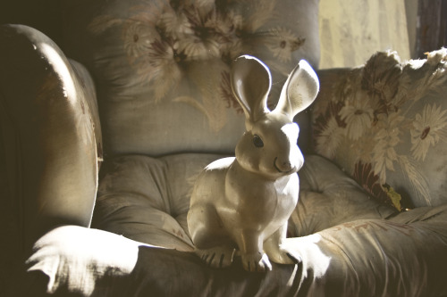 cariwayman:rabbit (by yyellowbird)