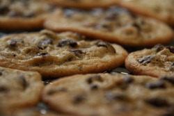 Cookies. YUM