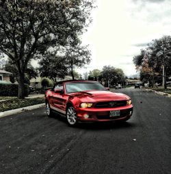 fuckyeahmustang:  Just For FuckYeahMustang
