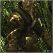 reapette:  The Cobra Unit 