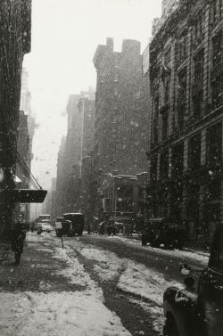 luzfosca:  David Vestal Snow, West 22nd Street,