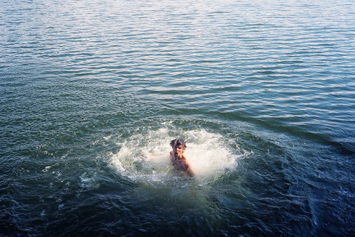 omardillo:  untitled by lily pollack on Flickr. 