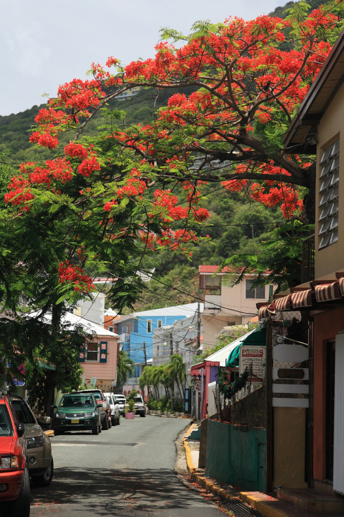 travelingcolors:Road town in Tortola | British Virgin Islands (by SunCat)