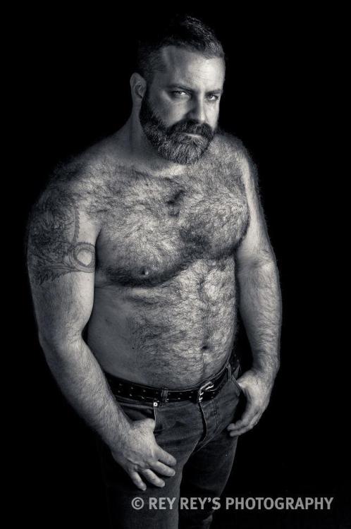 housebearsofatlanta