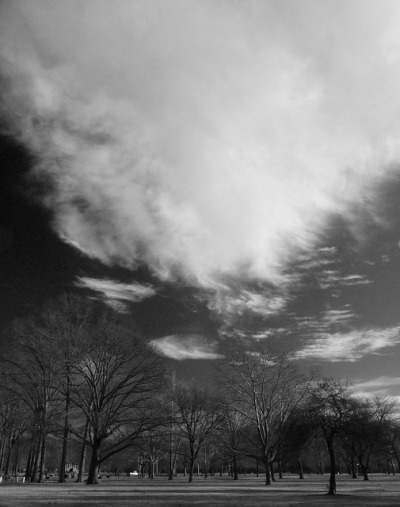 dendroica:
“Massive cloud on Flickr.
”