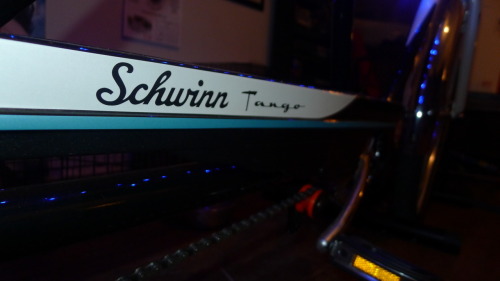 abrahan: SCHWINN TANGO TANDEM BIKE - newest toy. - custom texas name plates -(front = abrahan / back